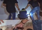 Mantan Karyawan Swasta Diamankan Polisi Diduga Terlibat Jual Beli Senpi Ilegal
