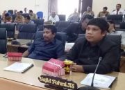 LSM Babak Kalsel Minta DPRD HST Hati-Hati dalam Pembentukan Pansus Penyertaan Modal Perumda