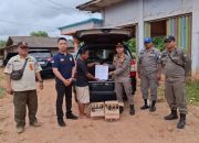 Berkedok Warung Makan, Puluhan Botol Miras di Temukan Satpol PP Tala
