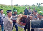 Kapolda Kalsel Sumbangkan Sapi Limosin untuk Haul ke-5 Guru Zuhdi