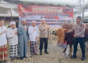 Kapolda Kalsel Serahkan Lima Ekor Sapi untuk Haul ke-219 Datu Kalampayan