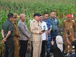 Kapolda Kalsel dan Forkopimda Tinjau Progres Ketahanan Pangan di Kab Banjar