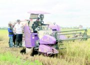 Dukung Penuh Swasembada Pangan DPRD Tala Lewat Program Pertanian Rakyat