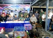 Wilayah Perairan Kumai, Lanal Banjarmasin Berhasil Gagalkan Pengiriman Satwa Yang Dilindungi