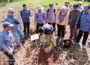SEBAGAI Pelaksana BIB, HRB Rehabilitasi DAS di Tapin