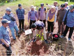 SEBAGAI Pelaksana BIB, HRB Rehabilitasi DAS di Tapin