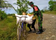 Dukung Program Pemerintah Ketahanan Pangan, Serda Duwi Andarwani Bantu Warga BInaan Panen Padi