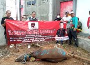 Panglima Laskar Banua Borneo, Serahkan Bantuan Sapi Qurban Ke 3 Kab/Kota Untuk Di Bagikan