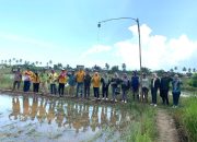 Dinas Pertanian Luncurkan Gerakan Pengendalian Gerdal OPT Pada Kelompok Tani Dikecamatan di Pulau Laut Timur