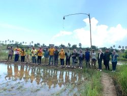 Dinas Pertanian Luncurkan Gerakan Pengendalian Gerdal OPT Pada Kelompok Tani Dikecamatan di Pulau Laut Timur