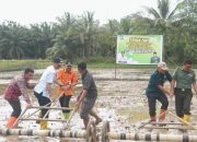 Pj Bupati Tala, Ketahanan Pangan Harus di Dorong Agar Petani Nikmati Hasil Panennya