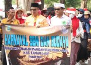 Berlangsung Meriah, Karnaval Seni dan Budaya di Lepas Pj Bupati Tanah Laut