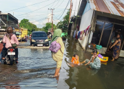 Warga mengungsi akibat Banjir Rob Kembali Terjang Desa Sungai Rangas