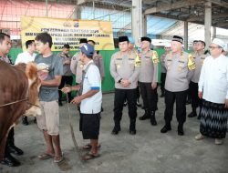 Kapolri dan Jajaran Polda Kalsel Sumbang Sapi di Sekumpul untuk Peringatan 5 Rajab 1446 H