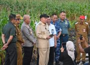 Kapolda Kalsel dan Forkopimda Tinjau Progres Ketahanan Pangan di Kab Banjar