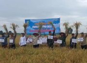Bupati Tala & Kementan RI Panen Raya, Targetkan Tiga Kali Panen Padi Setahun