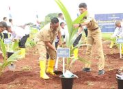 Ditjenpas Kalsel Tanam 10 Ribu Bibit Kelapa, Wabup Tala Ikut Guyur Harapan Pangan Masa Depan