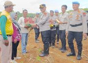 Ketahanan Pangan Jadi Fokus, Polda Kalsel Tanam Jagung di Lahan 57 Hektar Tanah Laut