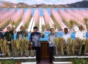 Gubernur H. Muhidin Gaungkan GNPIP 2025: Kalsel Siap Jadi Lumbung Pangan Nasional