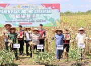 Dari Gambut ke Jagung: Polda Kalsel Sukses Ubah 900 Hektare Lahan Jadi Produktif