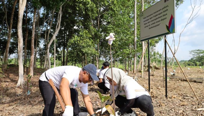 PLN Group Balikpapan Tancap Gas Hijau, Tanam 1.500 Pohon di Hutan Lindung Manggar