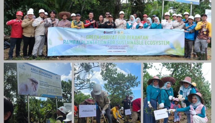 Jaga Ekosistem Kalimantan, PLN Indonesia Power Perkuat Konservasi Bekantan Lewat Penanaman Pohon