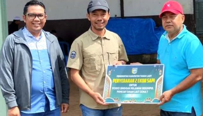 Pemkab Tanah Laut Sumbang Dua Ekor Sapi, Dukung Layanan Gratis Jamaah Haul Abah Guru Sekumpul