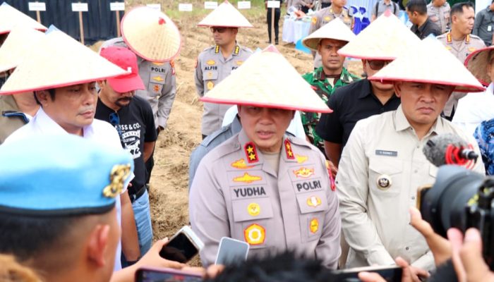 Tanah Laut Optimis Jadi Sentra Jagung Kalsel, Target Produksi Tembus 200 Ribu Ton