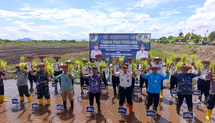 Sinergi Rutan Pelaihari–BPP Tala, 20 Hektare Sawah Baru Digarap untuk Ketahanan Pangan